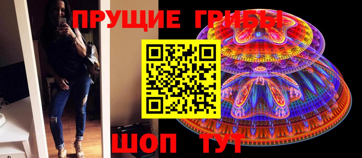 Псилоцибиновые грибы мицелий Асбест