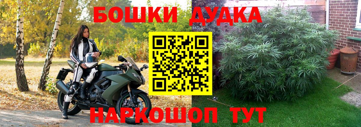 Каннабис гибрид  Бошки марихуана Bruce Banner  Вход с VPN  Асбест  Каннабис планчик  МАРИХУАНА тримм 
